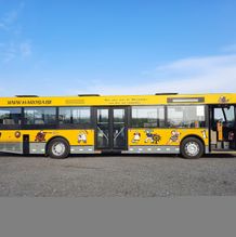 Bus 3768 - 2