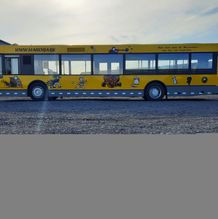 Bus 3768 - 3